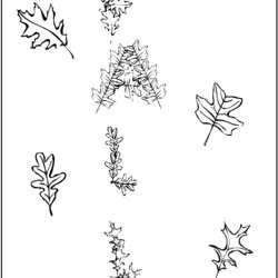 Marvelous Autumn Leaves Coloring Pages Free Printable Colouring For Kids Fall Fun Page