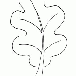 Smashing Free Printable Leaf Coloring Pages For Kids Autumn Leaves Fall Color Leafs Sheet Sheets Book Easy