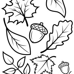 The Highest Standard Fall Leaves Acorns Coloring Pages Autumn Leaf Sheets Clip Printable Templates Kids