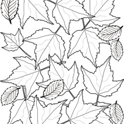 Worthy Colouring Autumn Leaves Rooftop Post Halloween Printable