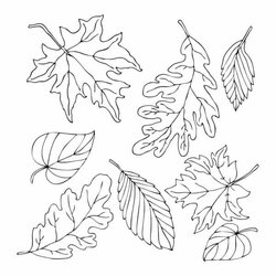Tremendous Free Printable Fall Coloring Pages Skip To My Lou Leaves Page
