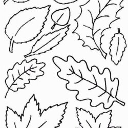 Printable Coloring Page Fall Leaves Home
