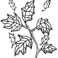 Brilliant Autumn Leaves Coloring Page Fall Leaf Pages Book
