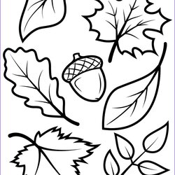 Capital Autumn Tree Colouring Pages