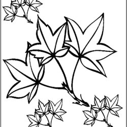 Eminent Autumn Leaves Coloring Pages Free Printable Colouring For Kids