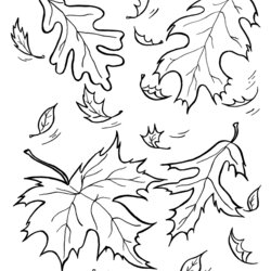 Champion Autumn Season Coloring Page Fall Leaves Pages Sheets Kids Leaf Printable Print Choose Board