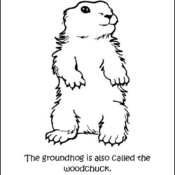 Preeminent Groundhog Coloring Pages Collection