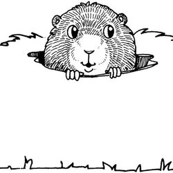 Wizard Groundhog Coloring Sheet Sheets Pages