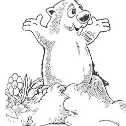 High Quality Free Groundhog Pictures To Print Download Coloring Library Pages