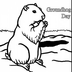 Spiffing Groundhog Coloring Page At Free Download