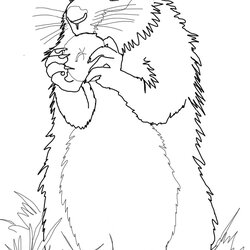 Great Groundhog Coloring Pages Best For Kids Woodchuck Drawing Printable Ground Realistic Apple Color
