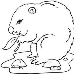 Perfect Groundhog Day Coloring Sheet Pages For Kids