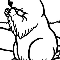 Fantastic Groundhog Line Drawing At Free Download Coloring Pages Woodchuck Kids Printable Rocks Hog Ground