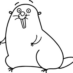 Swell Groundhog Coloring Pages Or Sheets Page
