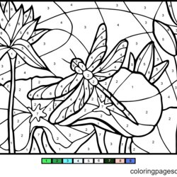 Capital Printable Color By Number Coloring Pages Get Roses And Dragonfly