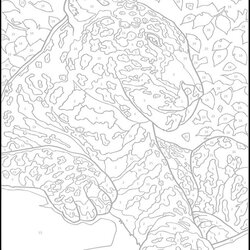 Marvelous Number Coloring Pages For Adults At Free Download Color Adult Numbers Printable Advanced Book