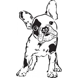 Spiffing French Bulldog Coloring Pages Go Back Images For Frances Bulldogs Draw Vargas