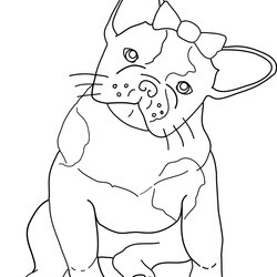 Very Good French Bulldog Line Drawing At Free Download Coloring Pages Printable Dog Bull Terrier Boston