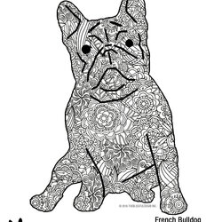 French Bulldog Coloring Download For Free Dog Adult Book Pages Colouring Print Masterpiece Blissful Letter