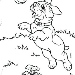 Magnificent French Bulldog Coloring Pages At Free Printable Dog Ball Color Puppy Catching Bull Puppies
