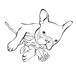 Swell French Bulldog Coloring Pages At Free Printable Color Adults Kids Print Rose