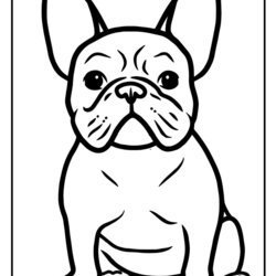 Excellent French Bulldog Coloring Pages Printable Sitting Bulldogs Blanche