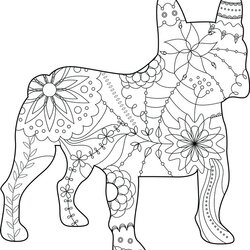 Marvelous French Bulldog Coloring Pages At Free Printable Color Sheets Print