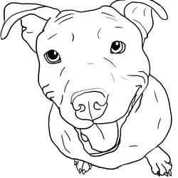 Wizard French Bulldog Coloring Pages At Free Printable Realistic Puppy Drawing Dog Pit Bull Drawings Color