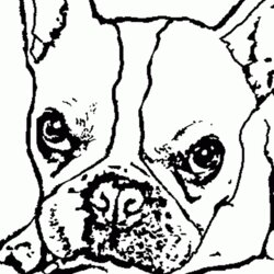French Bulldog Coloring Pages Home Bulldogs Boston Terrier Printable Georgia Color Pomeranian Sheets Dog