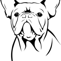 Worthy Words From The Kennels French Bulldog Art Puppy Bull Coloring Drawing Pages Dog Easy Bulldogs Dogs