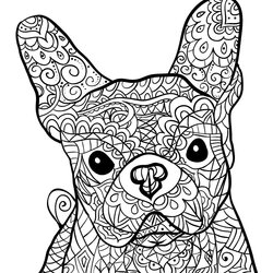 Admirable French Bulldog Coloring Pages At Free Printable Colour Calm Adult Puppy Dog Color Mandala Animal