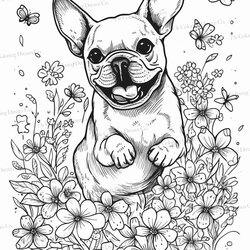 French Bulldog Coloring Book Printable
