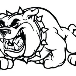 Cool French Bulldog Coloring Pages At Free Printable Georgia Bulldogs Mississippi State English Color Drawing