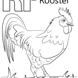 Brilliant Letter Coloring Pages At Free Printable Kids Rooster Fresh Sheet Color Alphabet Letters