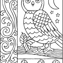 Admirable Welcome To Dover Publications Coloring Pages Book Owl Books Adults Owls Adult Printable Doodle