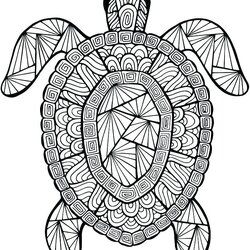 Outstanding Very Detailed Coloring Pages At Free Printable Really Color Print