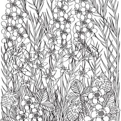 Magnificent Printable Coloring Pages Adult Details