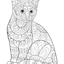 Free Printable Cat Coloring Pages For Kids In