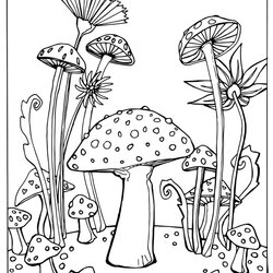 High Quality Cute Mushroom Coloring Page Home Pages