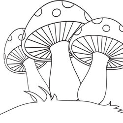 Eminent Cute Mushroom Coloring Pages At Free Printable Mushrooms Drawing Fungi Line Para Color Drawings