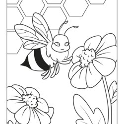 Superb Coloring Book Online Free Colouring Pages Kids