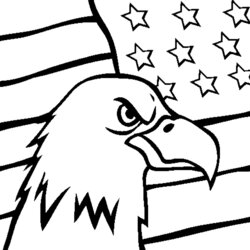 Perfect American Flag Coloring Page For The Love Of Country Math Full Sheet