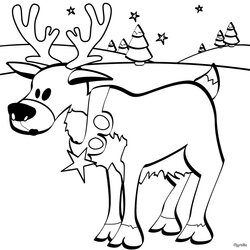Capital Coloring Christmas Pages Book Printable Reindeer Source