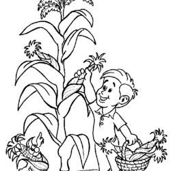 The Highest Quality Plant Coloring Pages To Download And Print For Free Corn Stalk Printable Planting Kids