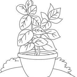 Capital Printable Plant Coloring Pages Free Sheets Di