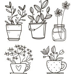 High Quality Parts Of Plant Coloring Pages For Kids