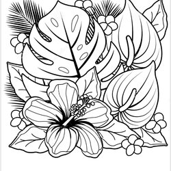 Worthy Top Plant Coloring Hibiscus Tropical Plants And
