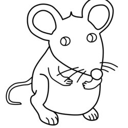 Wizard Cute And Little Mouse Coloring Pages Print Color Craft Printable Kids Animals