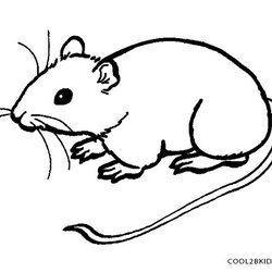 The Highest Quality Printable Mouse Coloring Pages For Kids Rat Cute Drawing Rodent Template Colouring Sketch