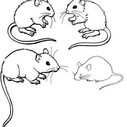 Great Free Printable Mouse Coloring Pages For Kids Mice Colouring